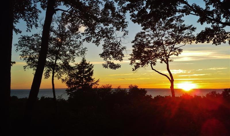Pet-Friendly One Crow Cottage In Harbor Springs! Kültér fotó